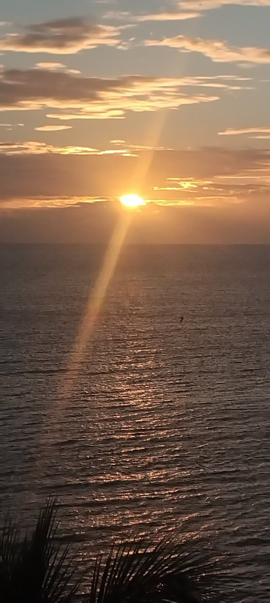 José Antonio tweet media