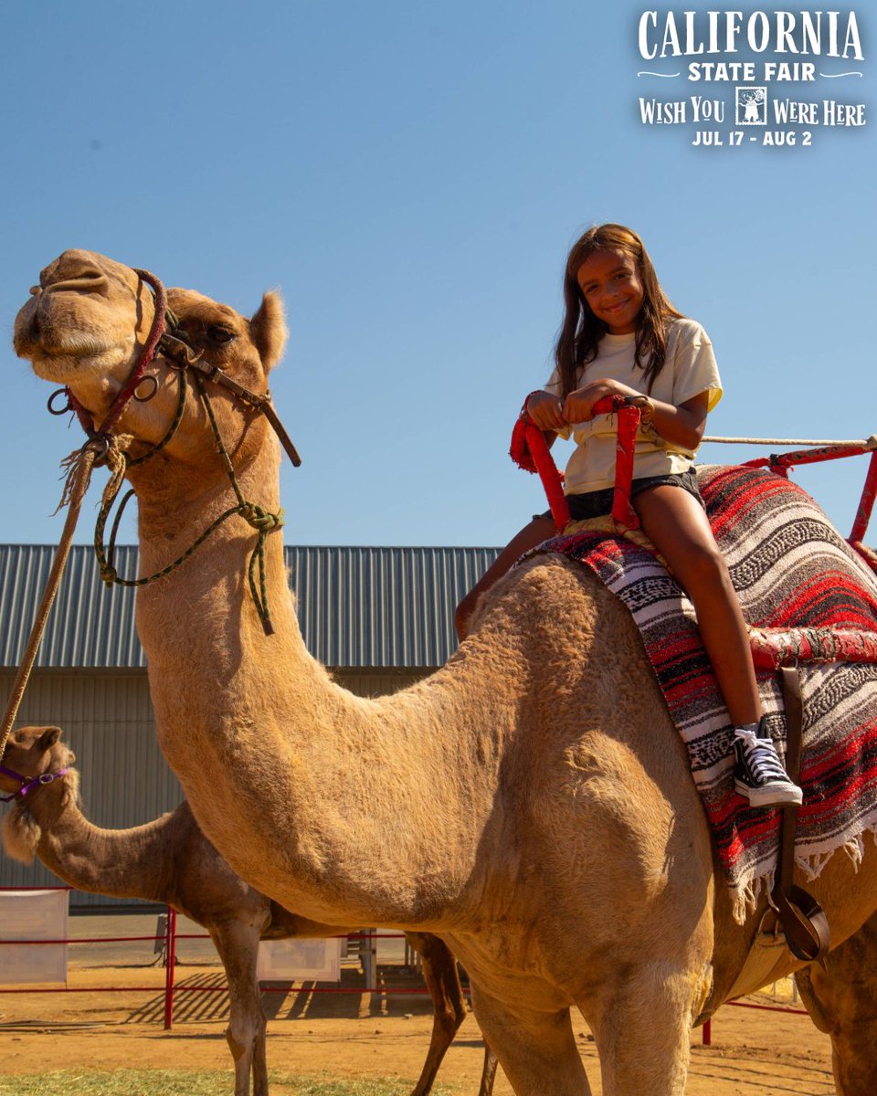 Cal Expo & CA State Fair tweet media