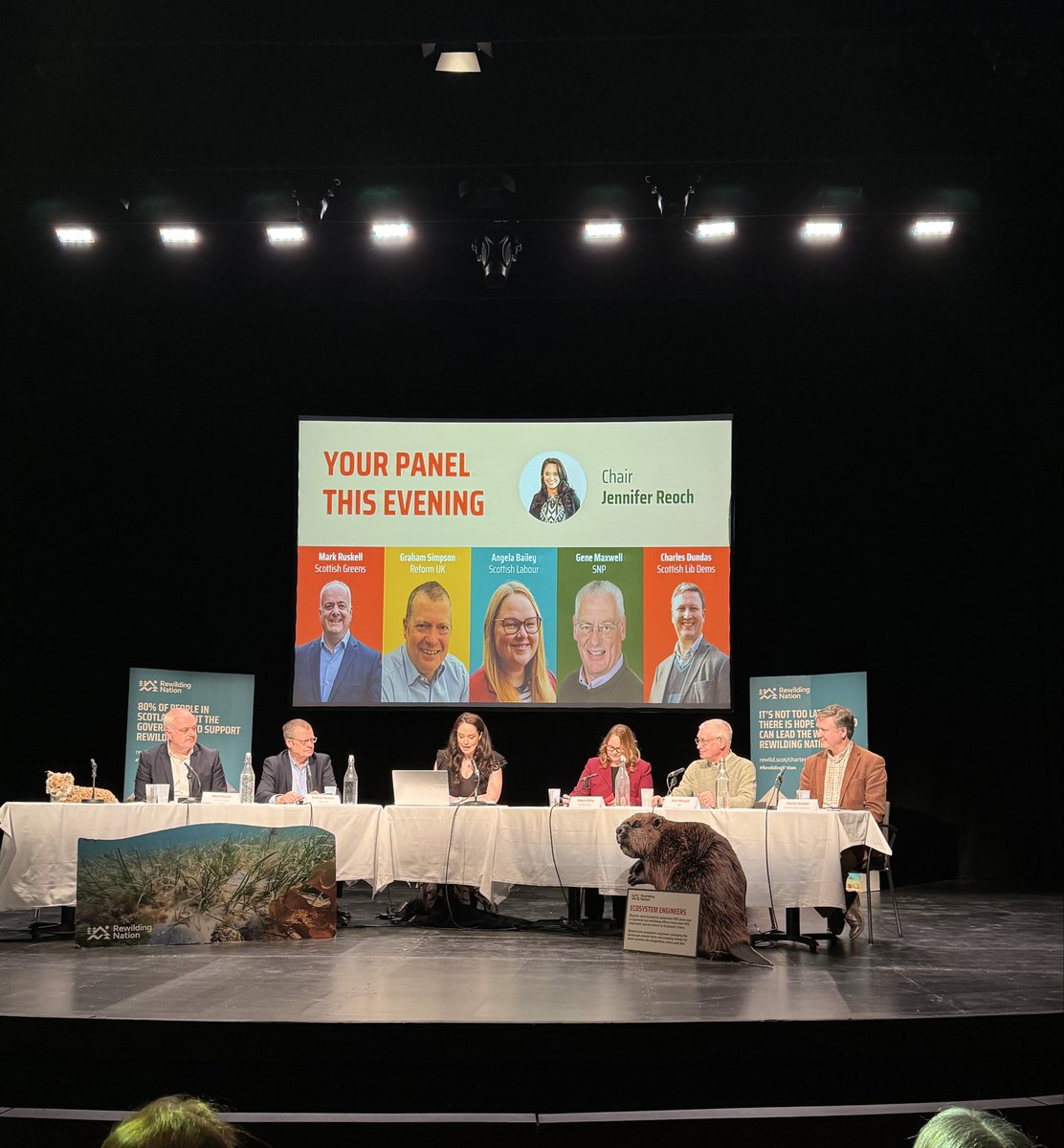 Rewild Scotland 🏴🌳 tweet media