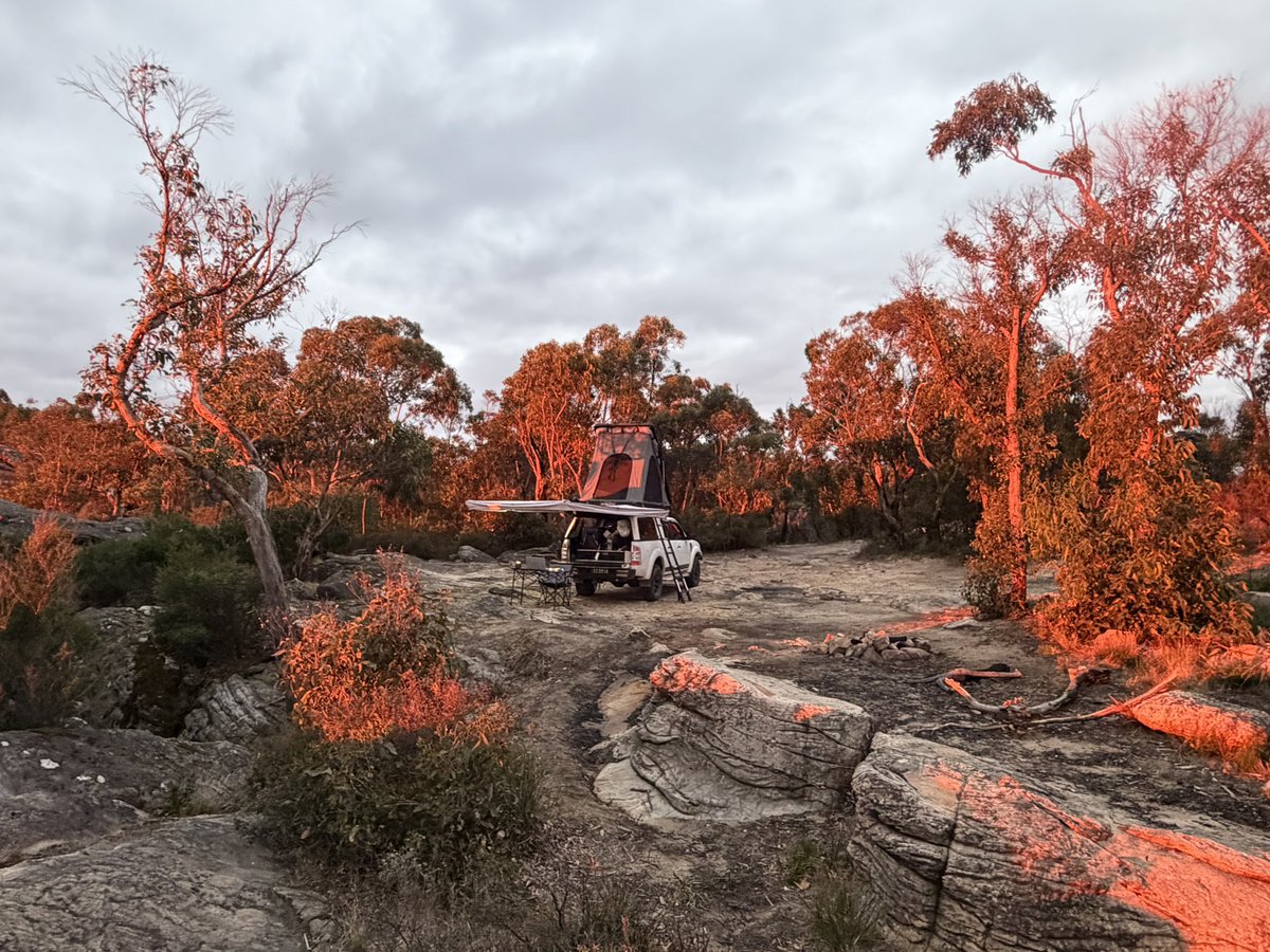 Bram ter Meulen tweet media