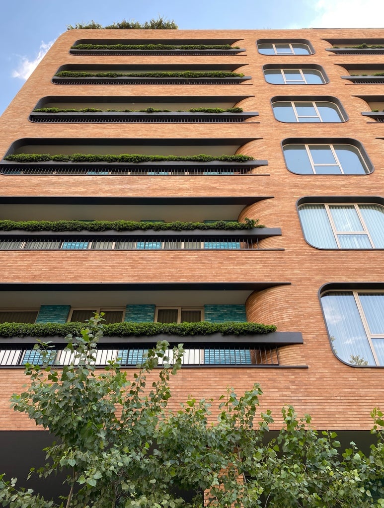 MENA Visuals tweet media