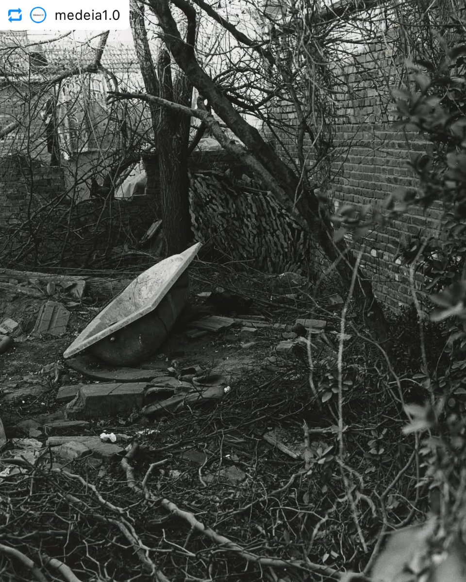 金村修 Osamu Kanemura tweet media