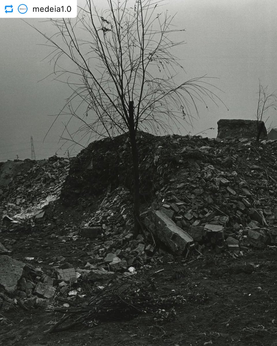 金村修 Osamu Kanemura tweet media