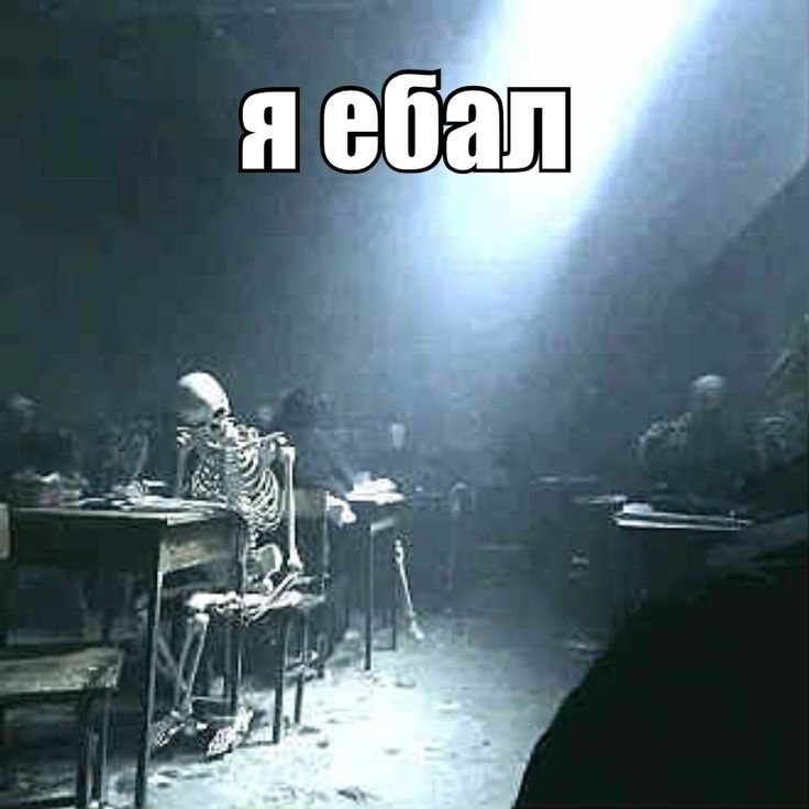 польский мультихром tweet media