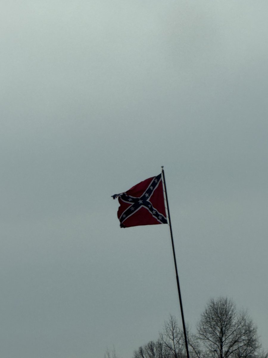 smallforest tweet media