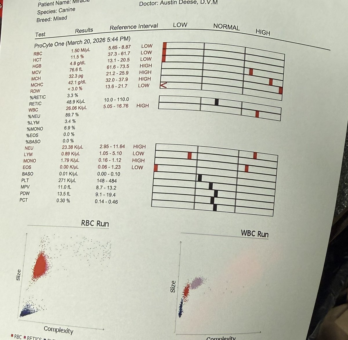 Lola Patolla tweet media