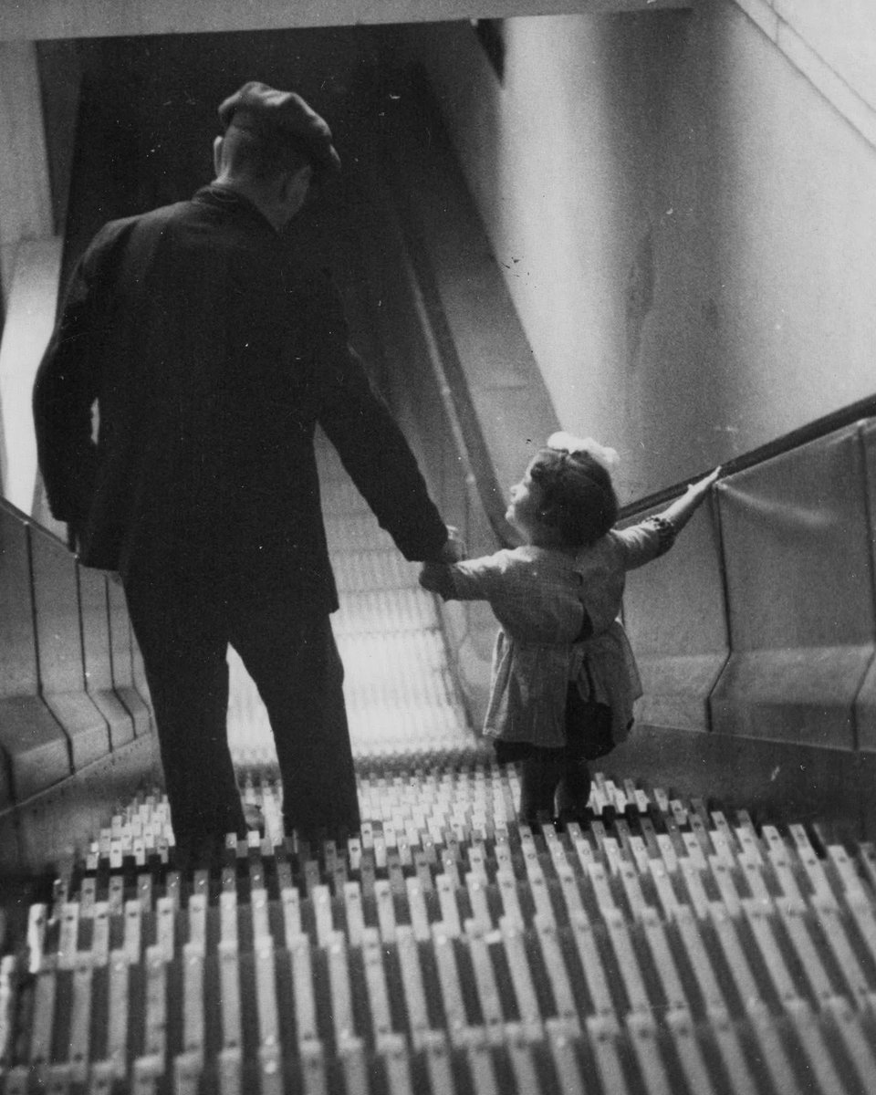 Pullback tweet media