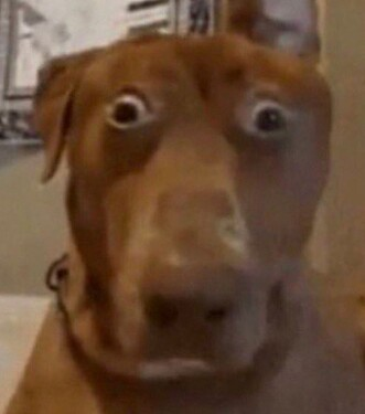 Capitan Devyr tweet media