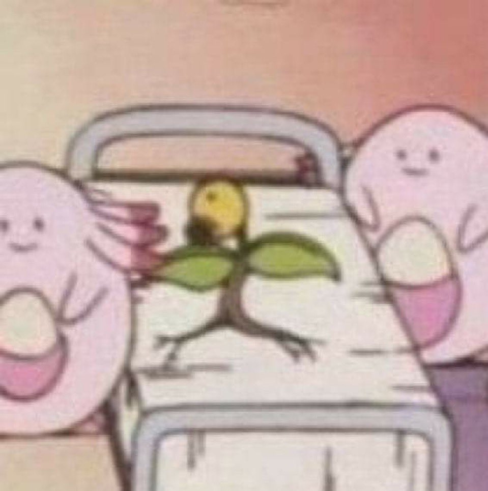 Pebs/Pebbles tweet media