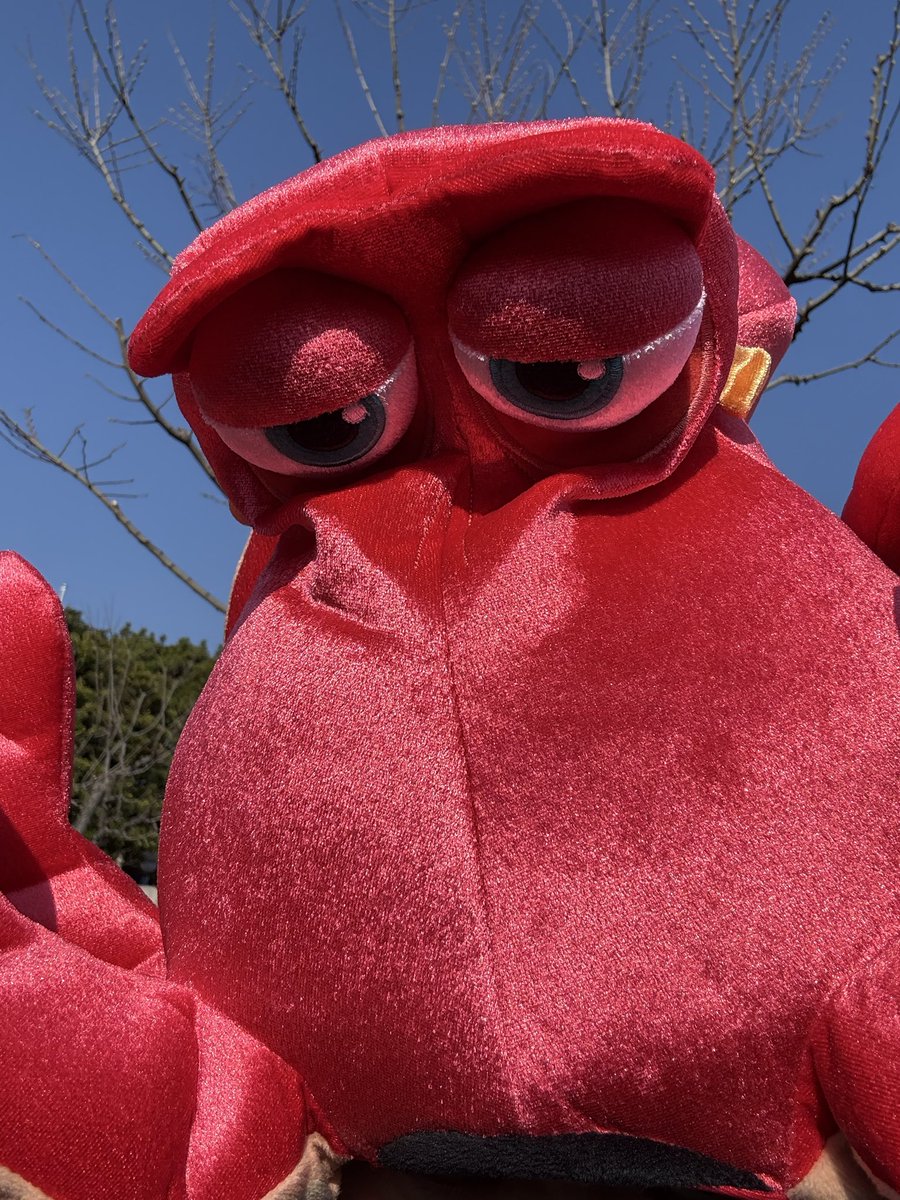 ゴーレム＠サバゲー tweet media