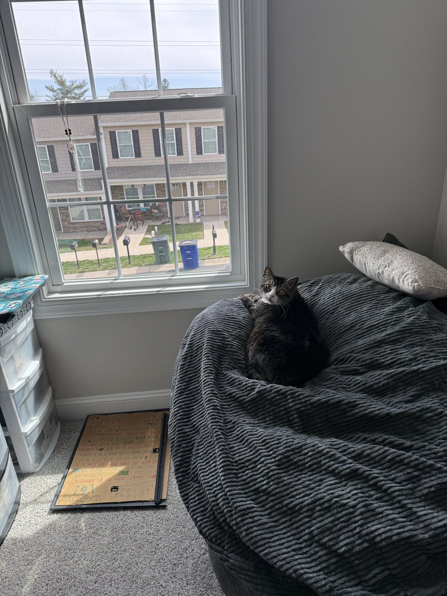 boots 👢 tweet media