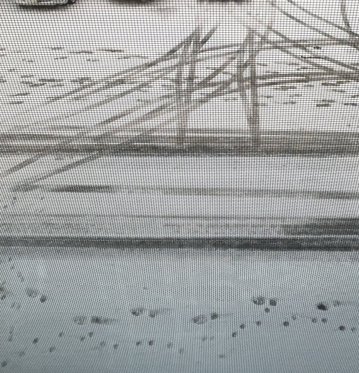 氷姫❄️ tweet media