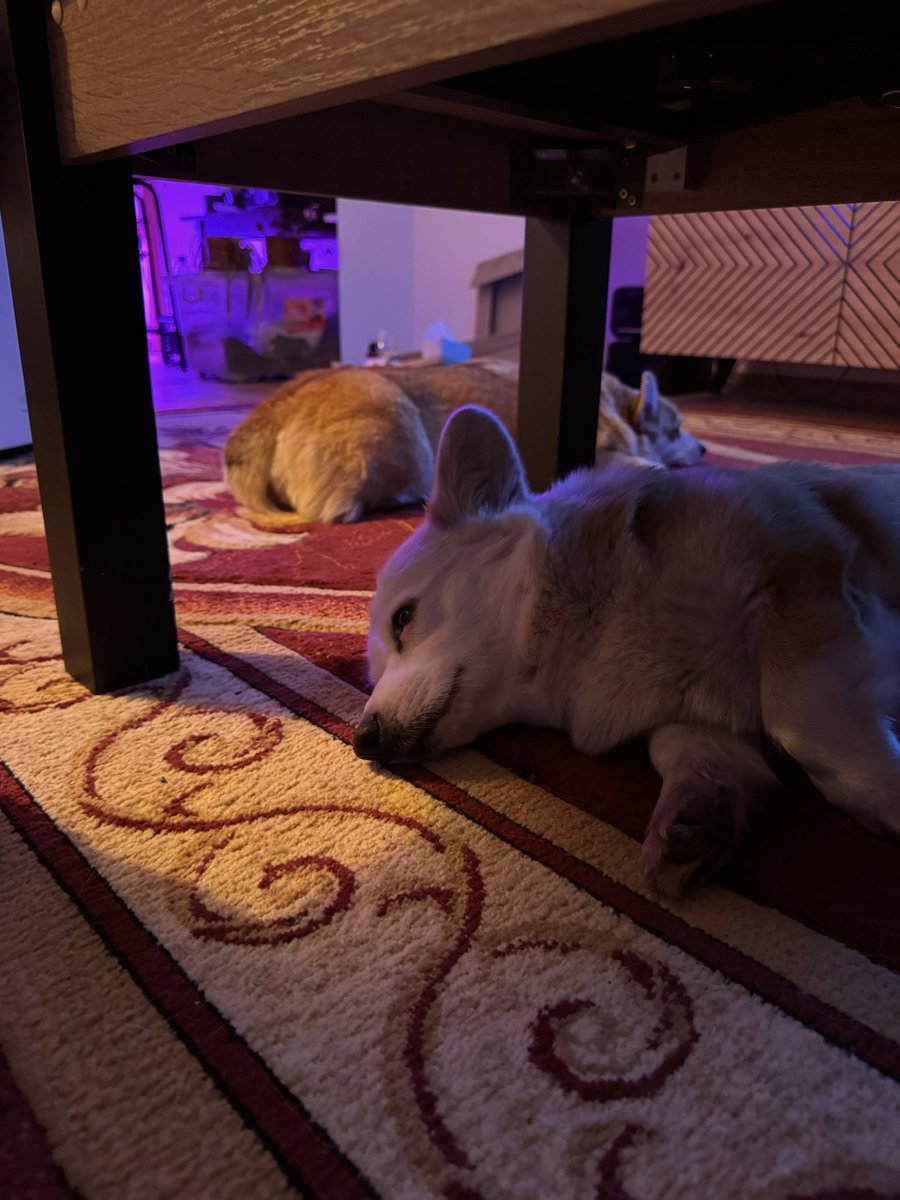 Poison Ivy tweet media