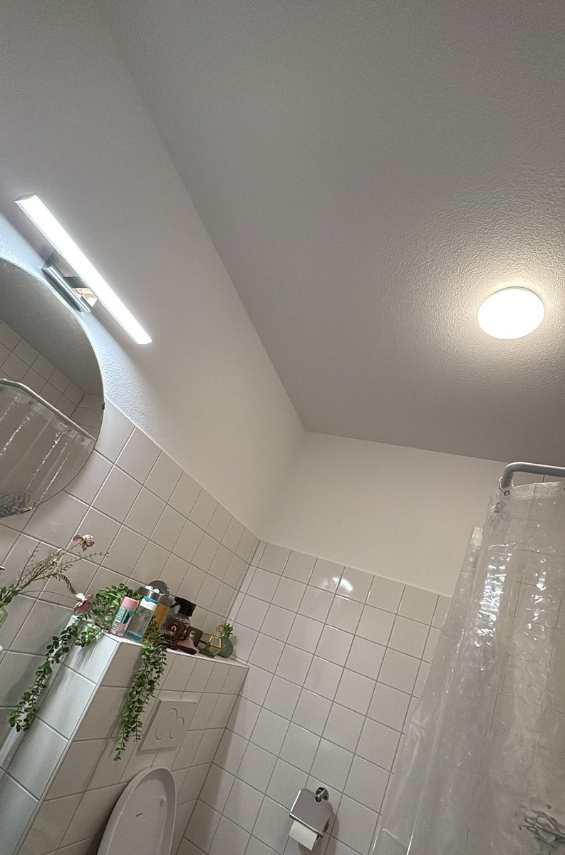 ๐จ๐๐๐๐๐๐๐ (pigeon girl) ๐ฆ ๐ฆนโญยฐ๏ฝกโ tweet media