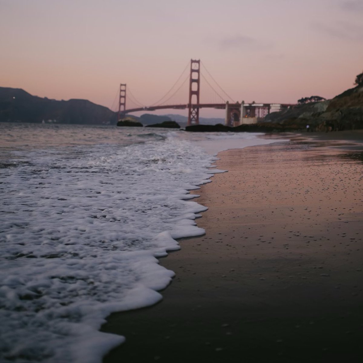 tweet davidson tweet media