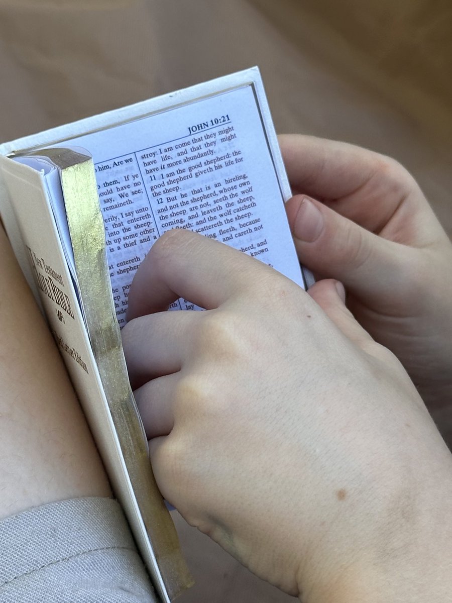 Jackie Chea ⚖️ tweet media