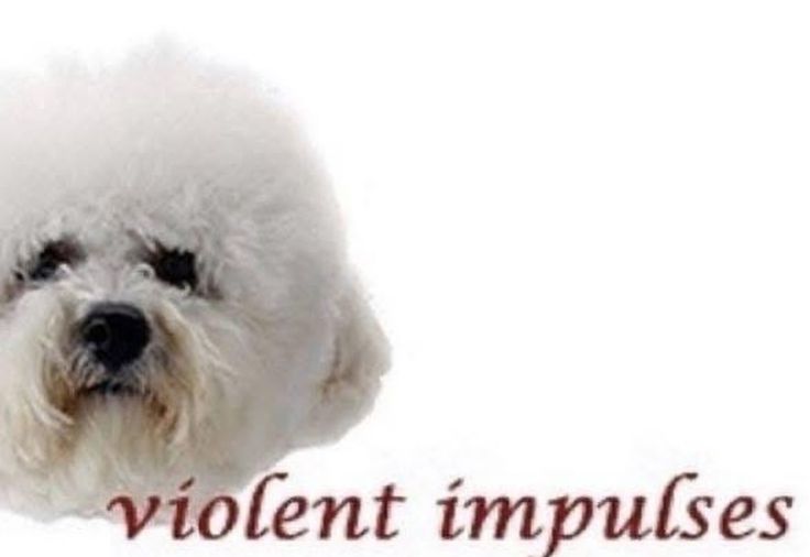 oli lvsn't vexo tweet media