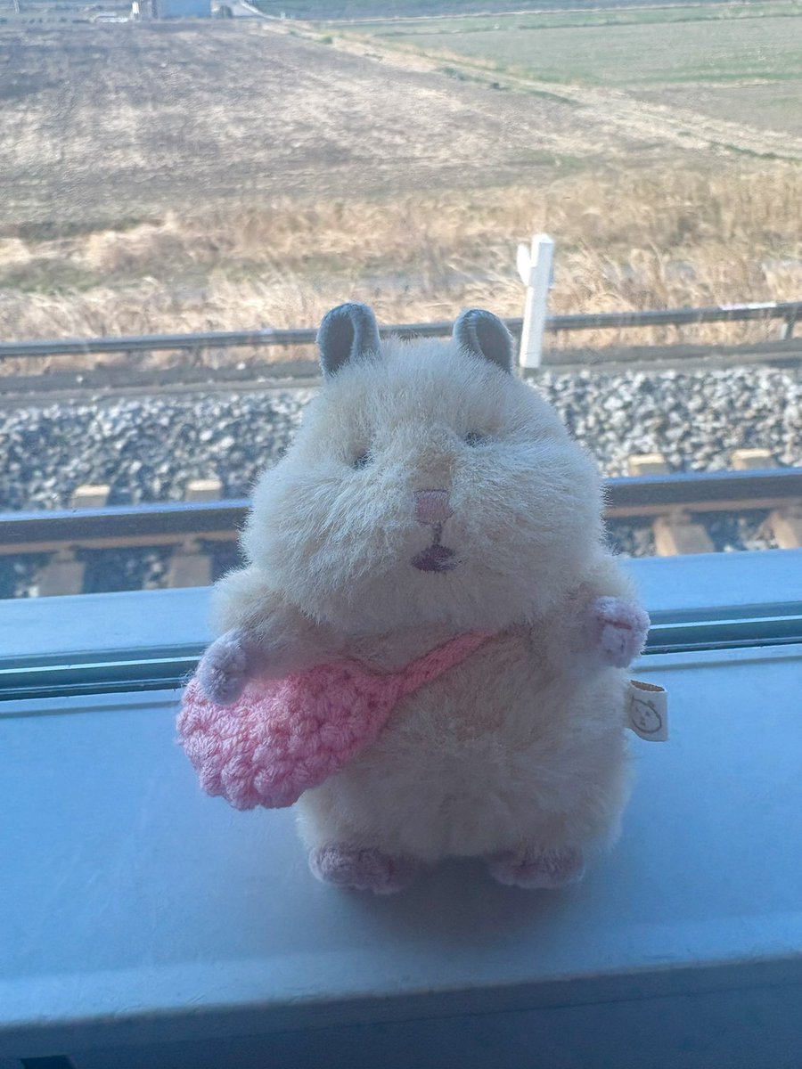 栗どろぼう tweet media