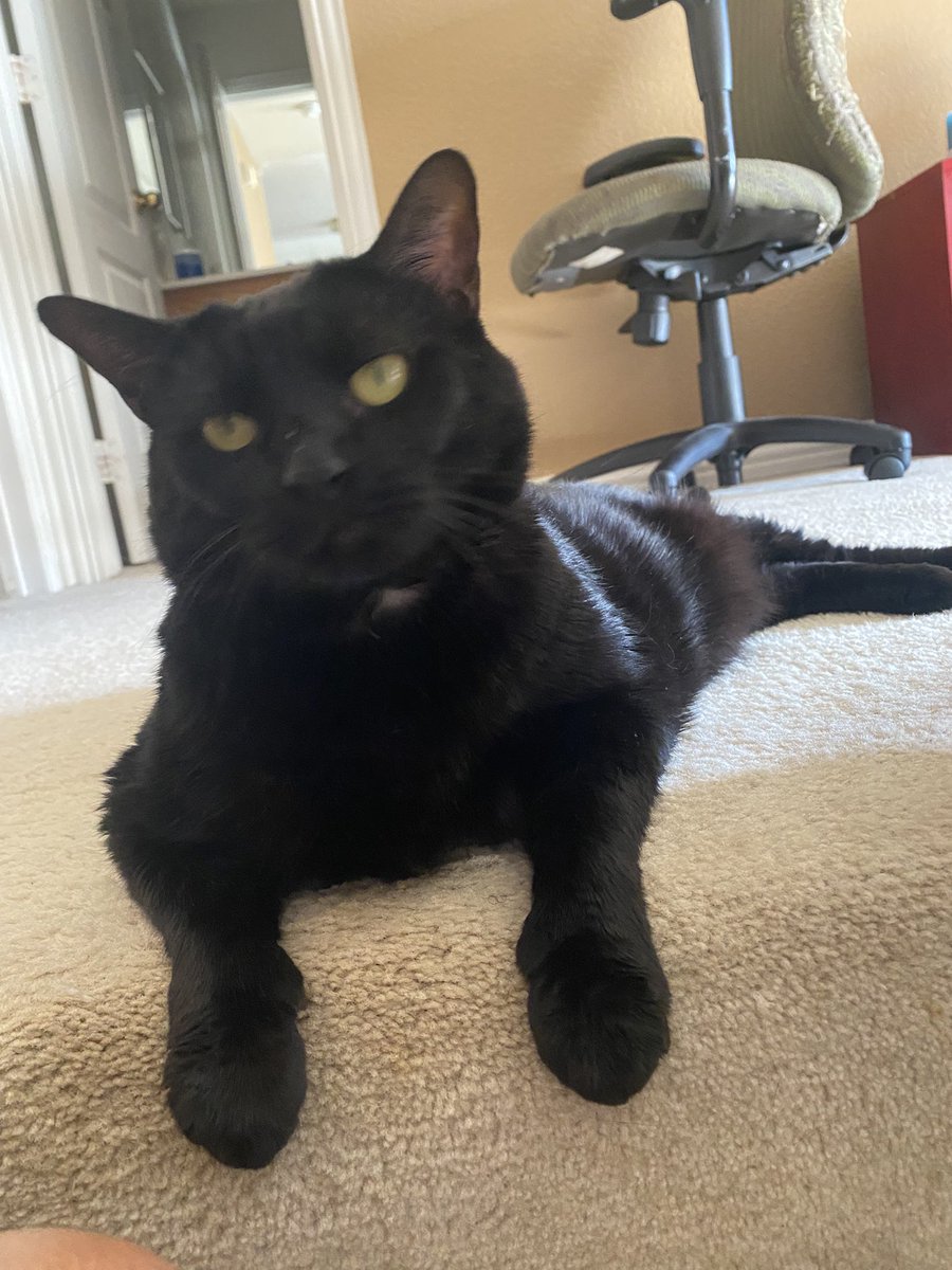 Kimberly C. 🧡🌞 tweet media