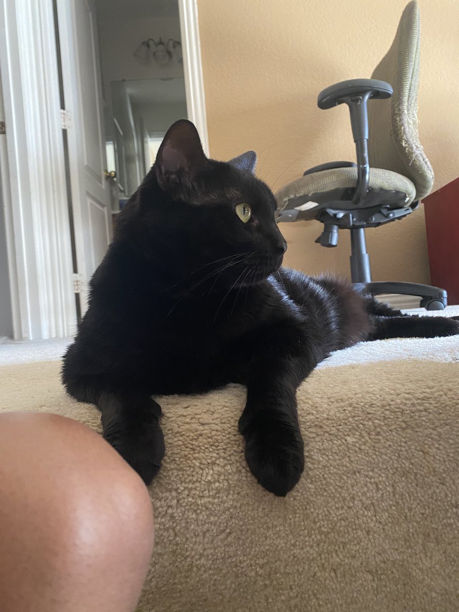 Kimberly C. 🧡🌞 tweet media