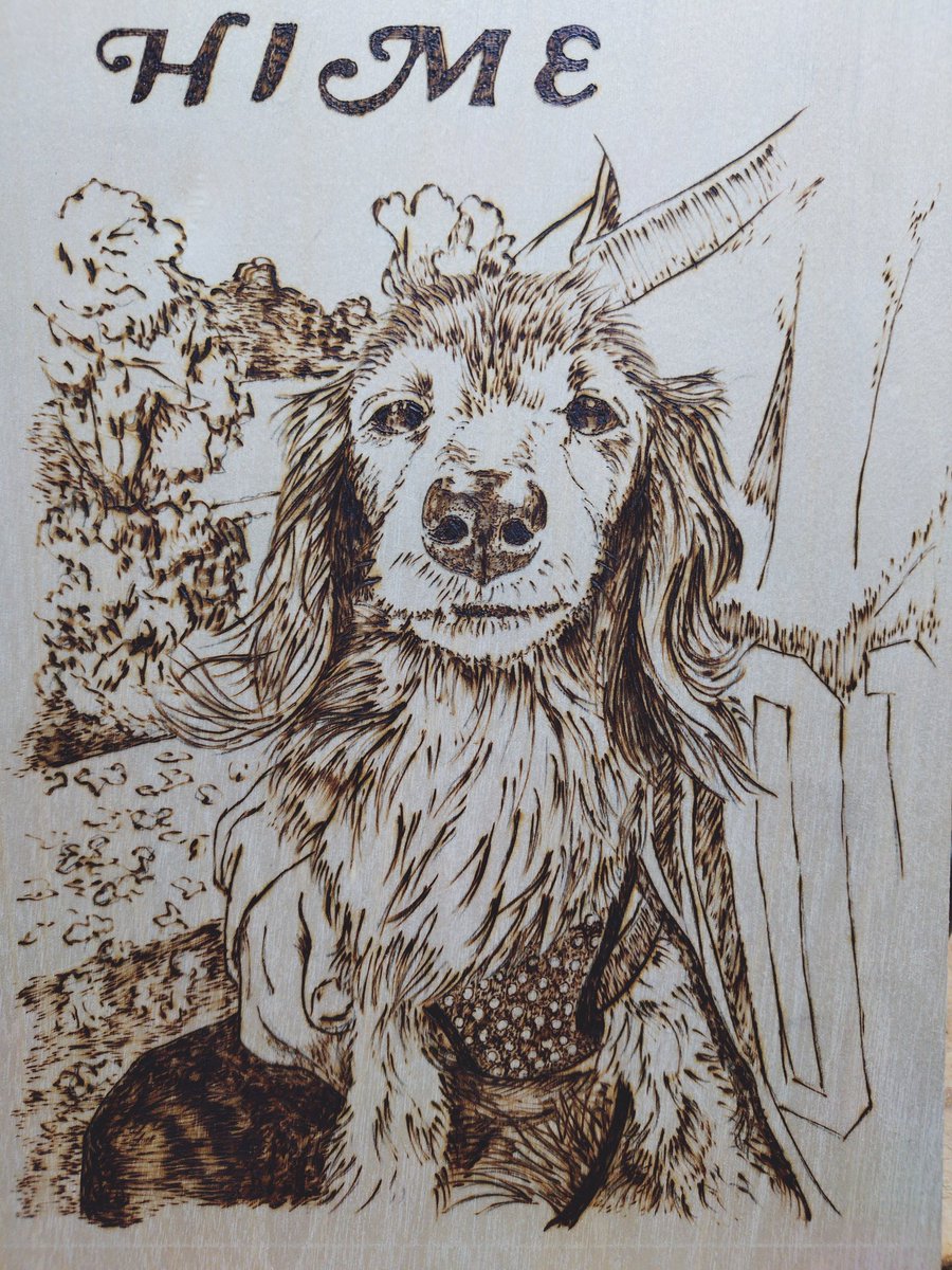 いぬのラクヤキ屋 tweet media