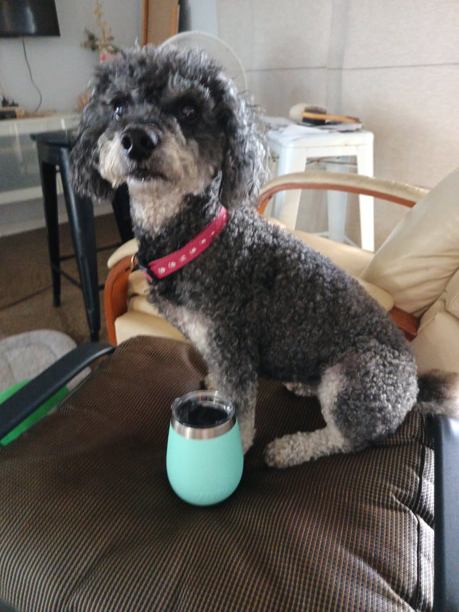 🌻kiwi girl🌻 🇬🇧🇳🇿🇮🇪🇪🇸Fully vaccinated! tweet media