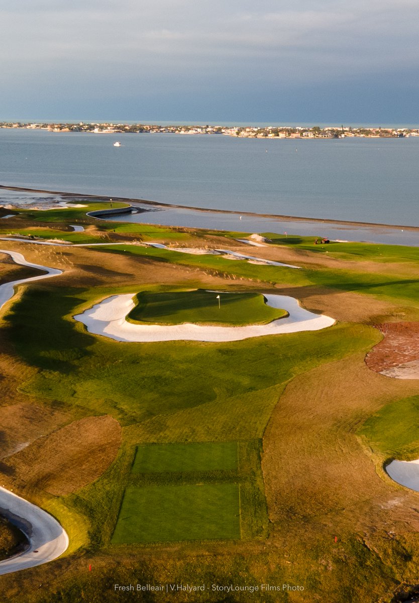 RossSocietyPres's tweet photo. @SHistorians @BelleairCC Nice. I remember the
@DonaldRossSocie
visit. Seed was fresh, the "High Society" tees were still a secret, and nobody had yet tried to sod the Cops when #JasonStraka
@FryStrakaGolf
was offsite! lol  Looking forward to returning for an east/west double dose of "Rosstoration"! https://t.co/y0TjaNWQRH