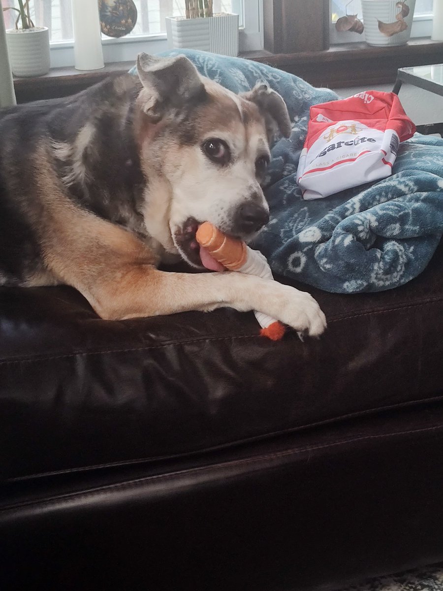 terry schappert tweet media