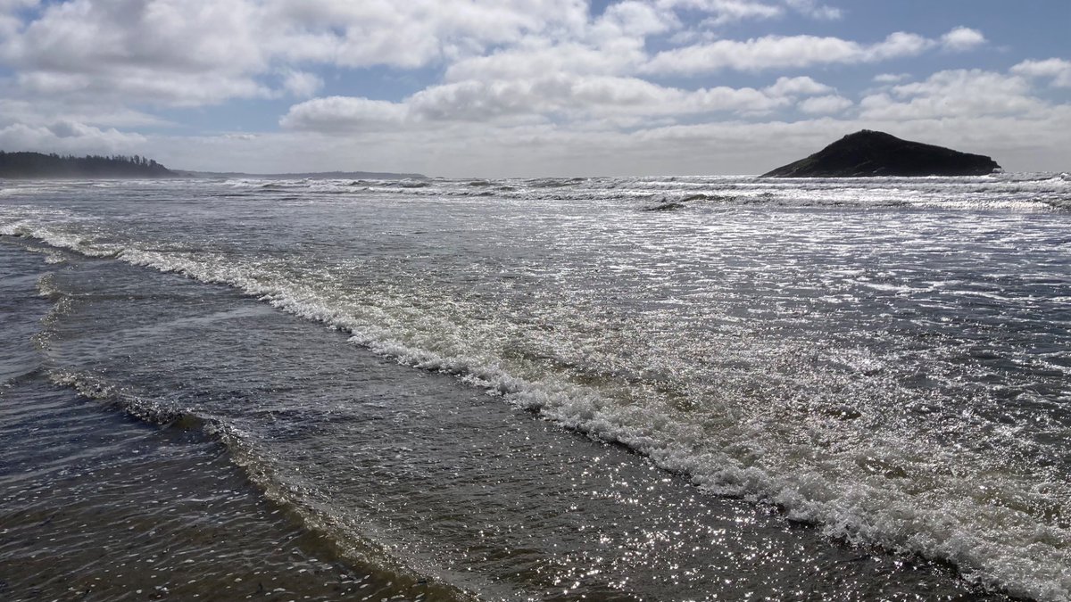 Todd Foley 🇨🇦 tweet media