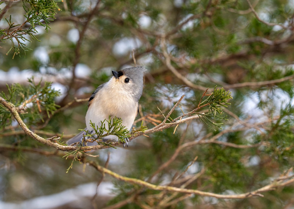 Jocelyn Anderson Photography tweet media