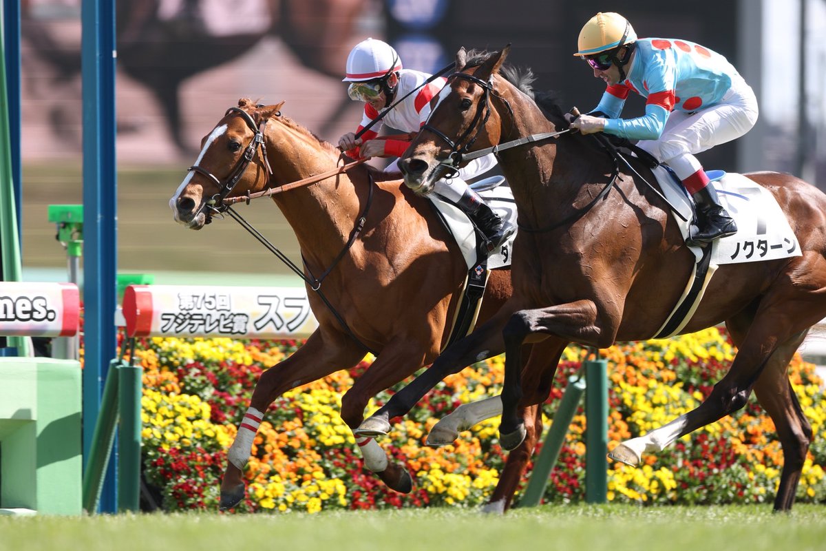 田中博康厩舎【公式】 tweet media