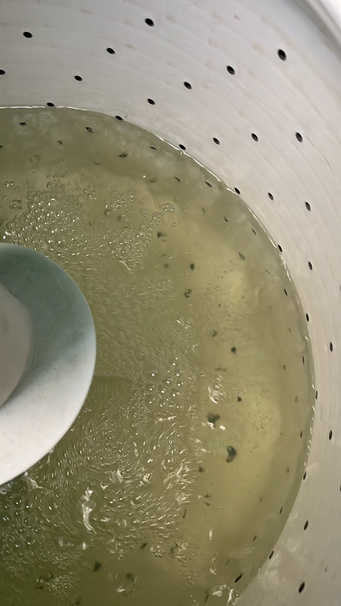 Roshiusca tweet media