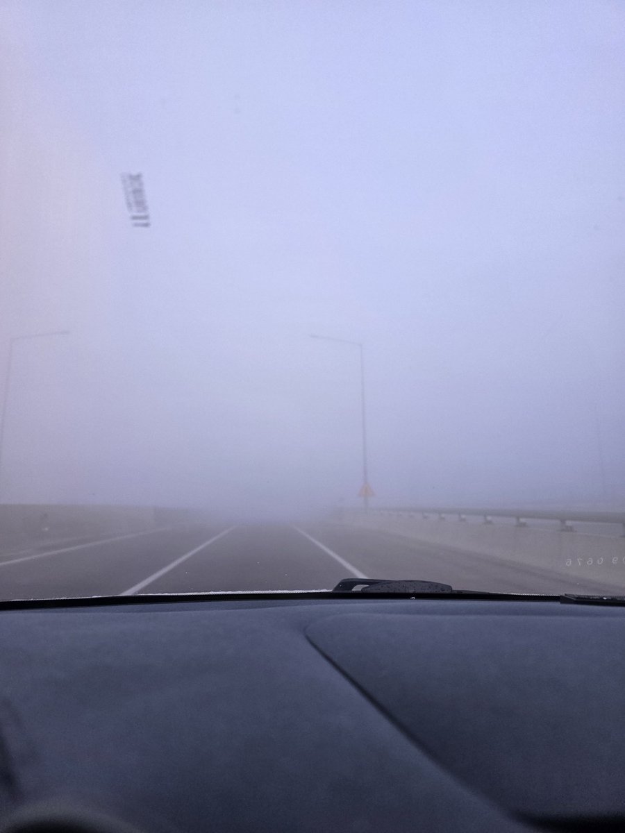 🩸미켄☠️ tweet media