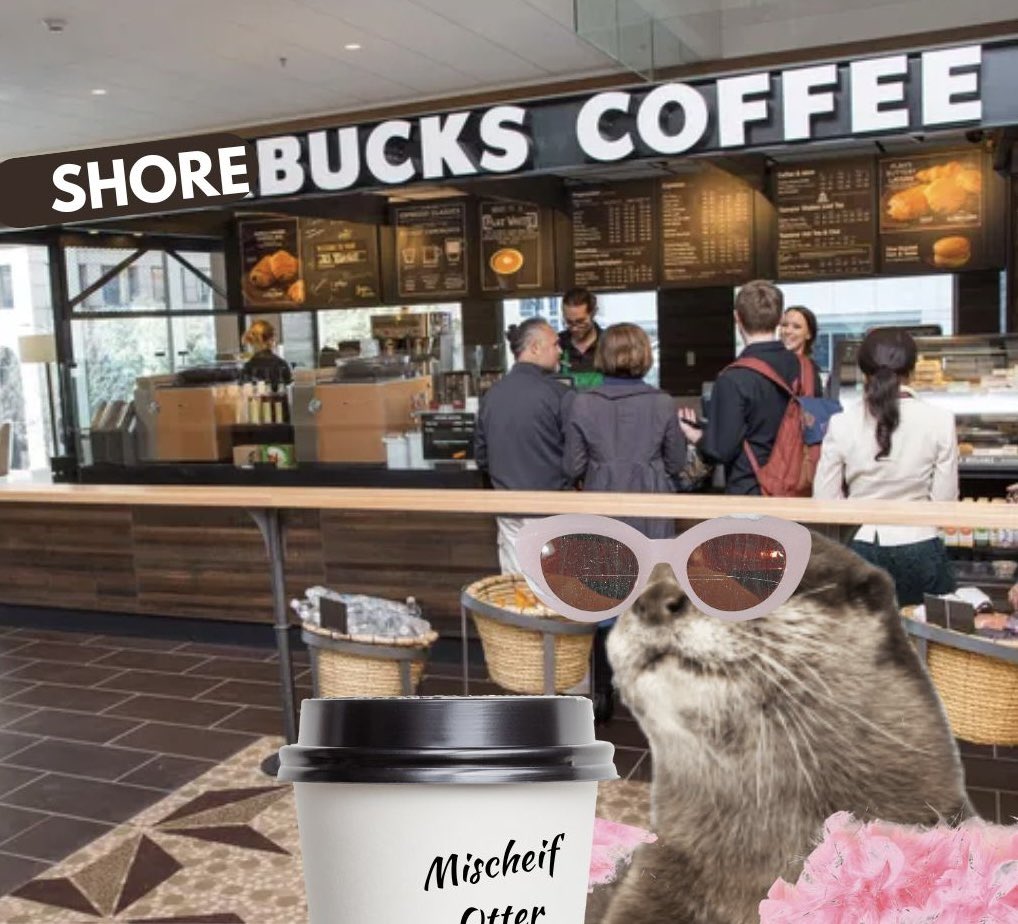 sh!tpostotter tweet media