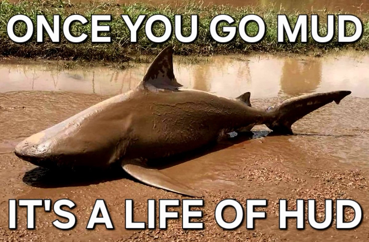 Slipknot Bolso tweet media