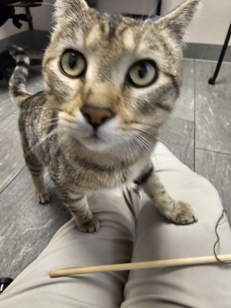 Dr_alejandro89, Ph.D. tweet media