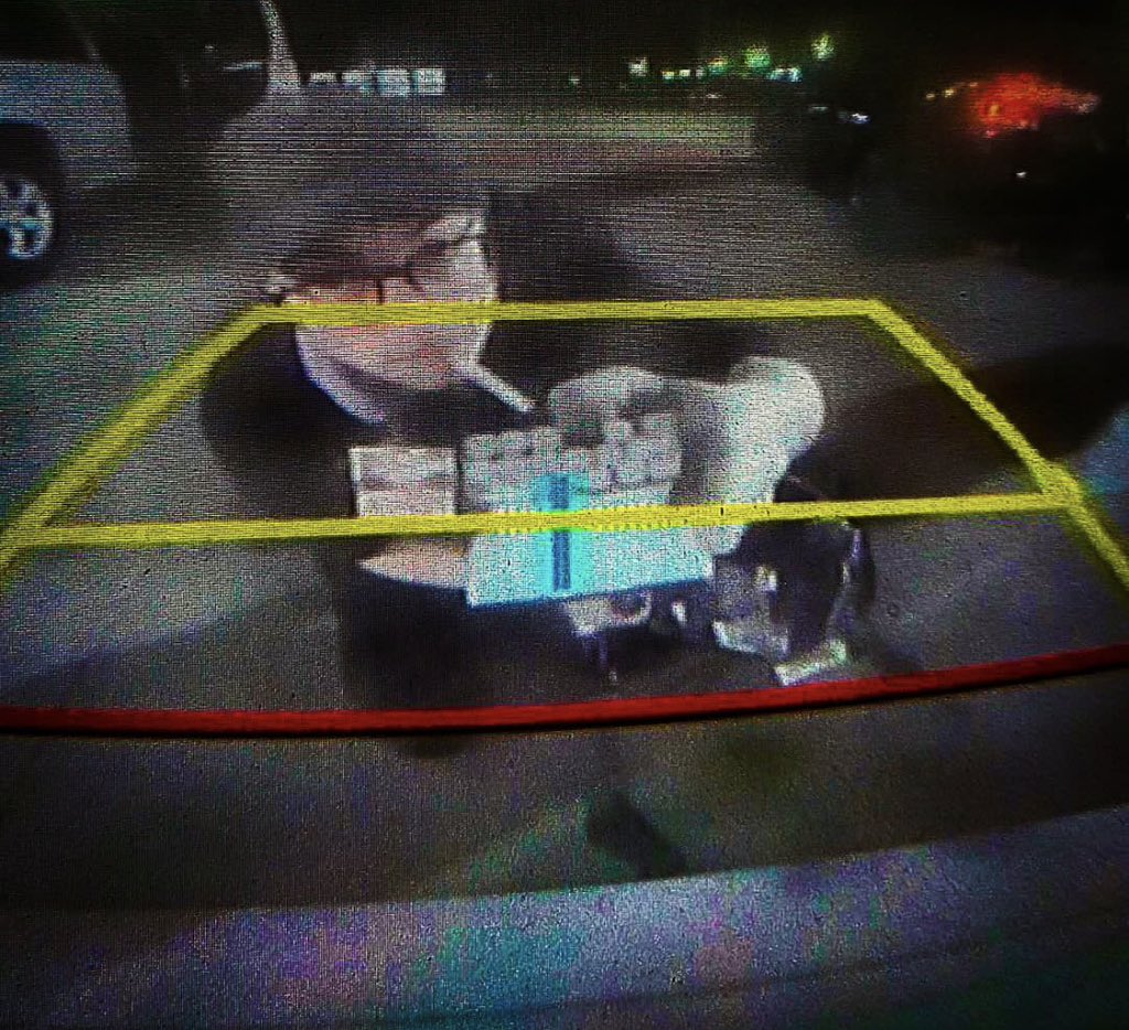 dewbug ⛧ on a break era tweet media