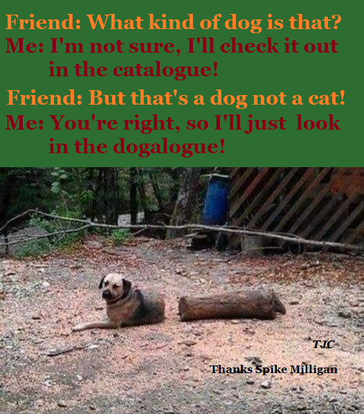 David John Cogger tweet media