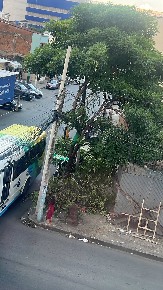 Corina Nuñez tweet media