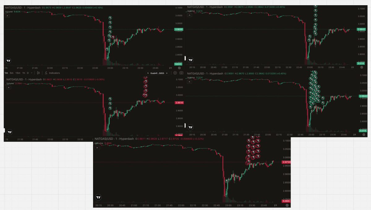 onchainschool.pro tweet media