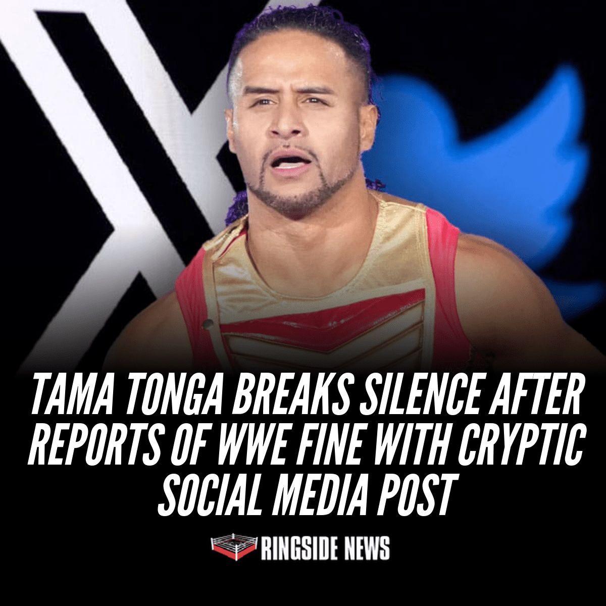 PWStream tweet media