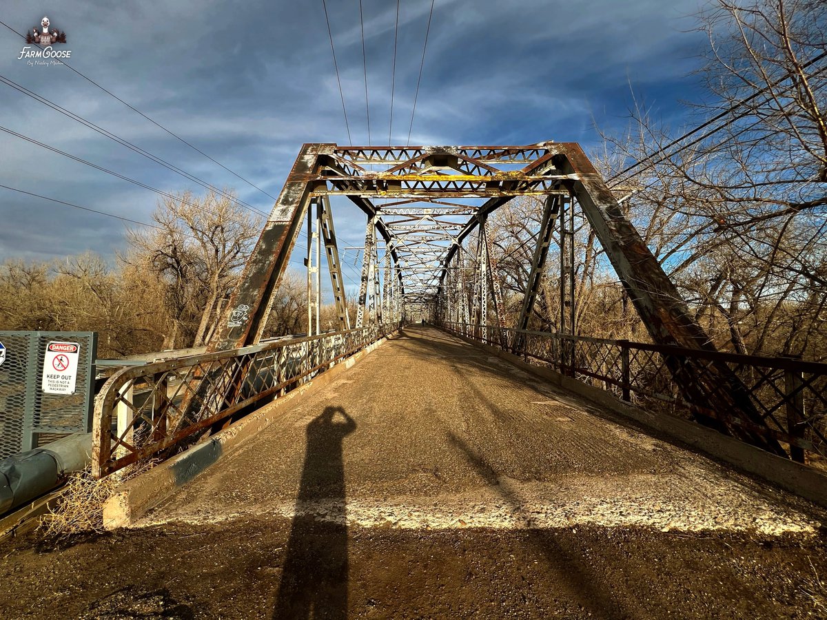 goosenissley's tweet photo. A remarkably not-unpleasant day over the Yellowstone :)
https://t.co/xA8GT5VLBO
#BellStreetBridge #GlendiveMT #Glendive #YellowstoneRiver #historicbridge #steeltrussbridge #Montanaphotographer #grainelevator #oldelevator #abandonedelevator #EasternMontana https://t.co/O9NnbaaDnL