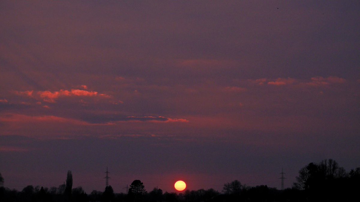 Don Alphonso tweet media