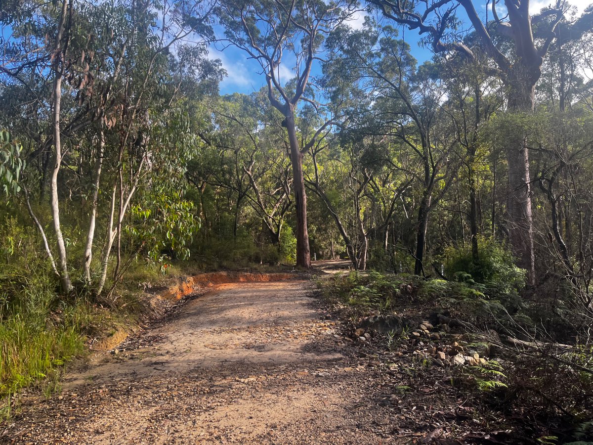 Quiet_please MDANT 🙏 tweet media