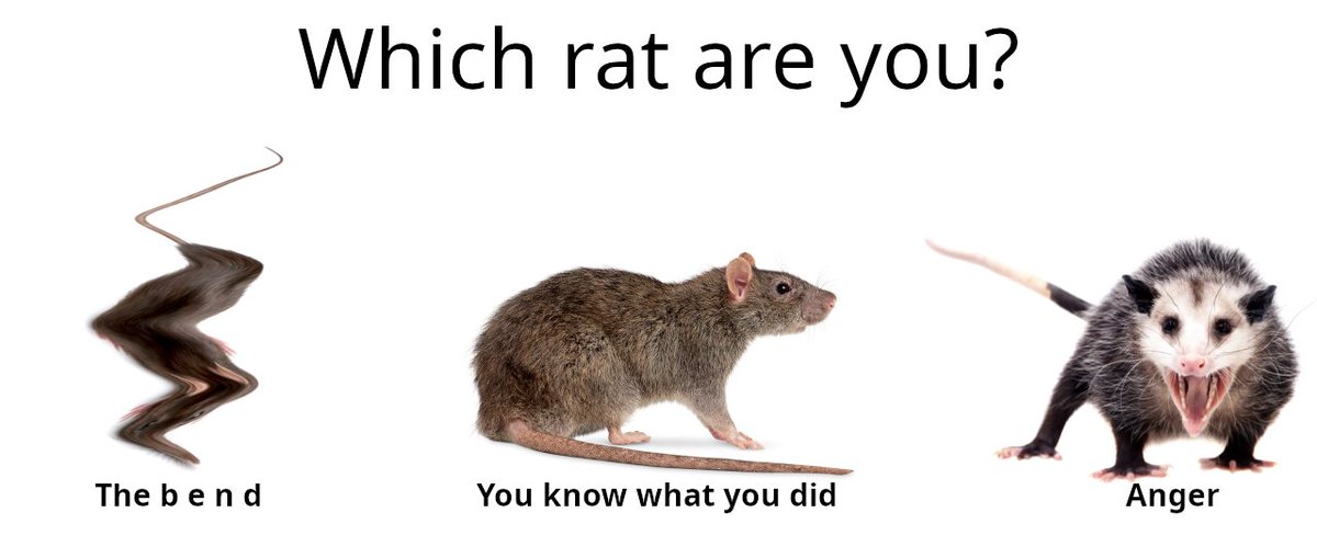 Ｂｅｎ tweet media