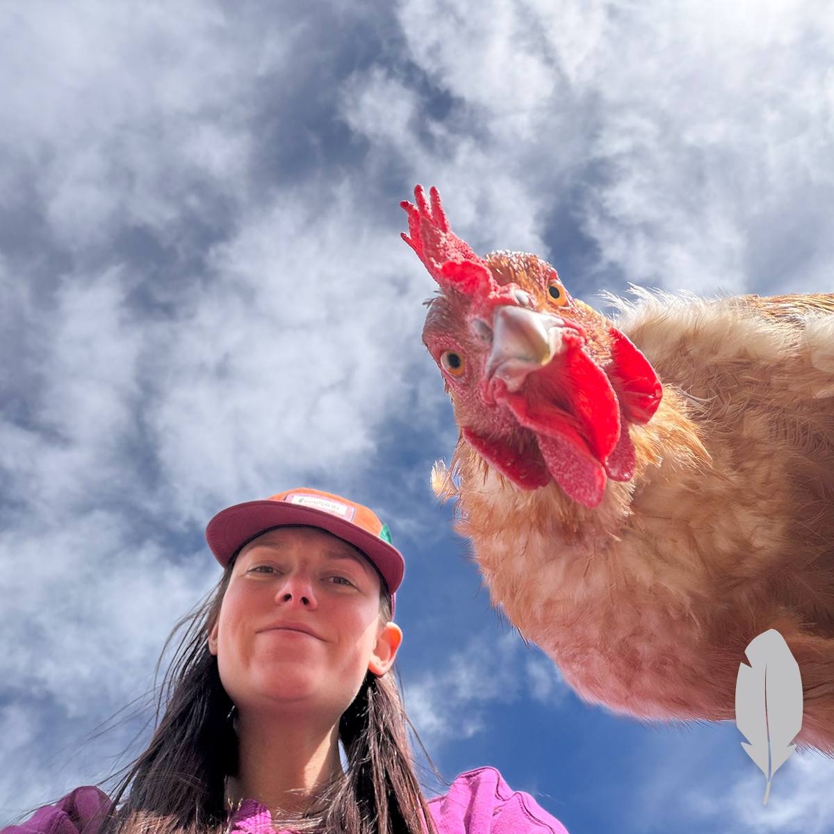 IFA Country Store tweet media