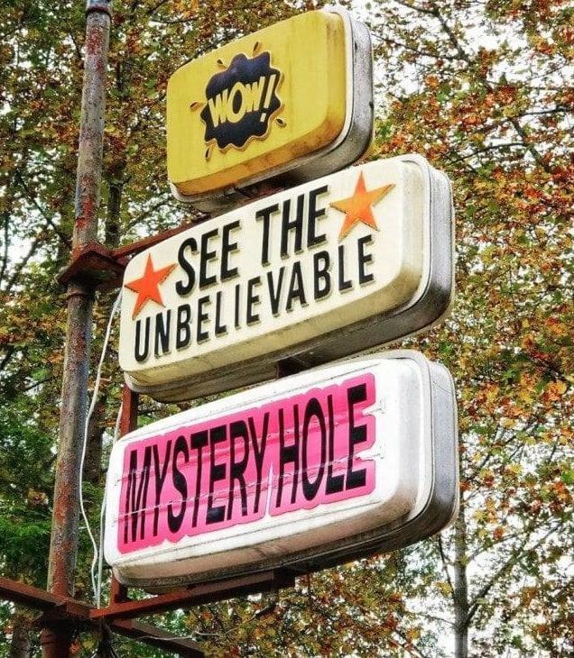 horse dentist tweet media