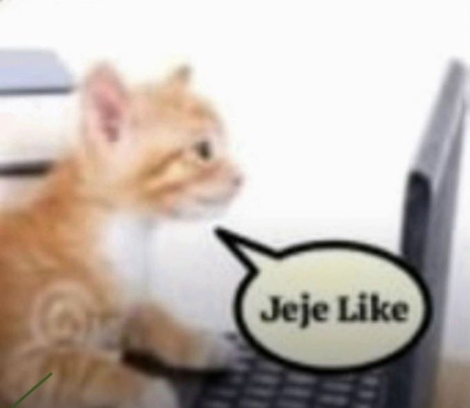 Catatau𖤐 tweet media