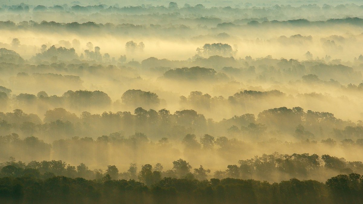 𝗠𝗿𝗬𝗘𝗘 tweet media