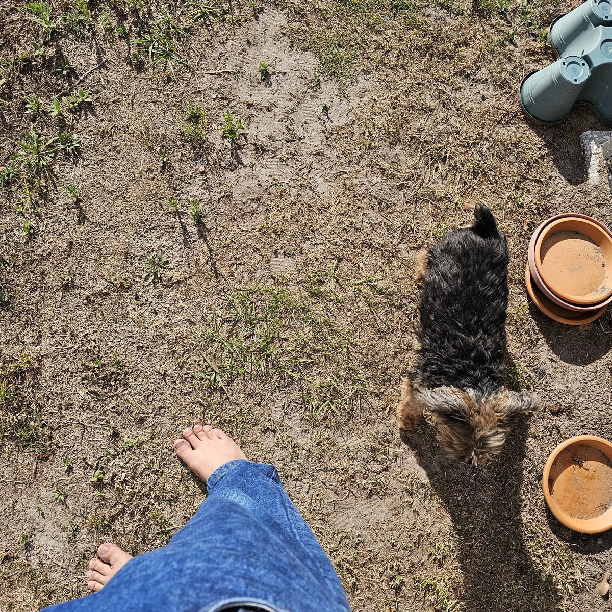 KURT RAM tweet media